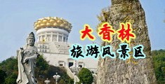 大鸡巴操熟女视频中国浙江-绍兴大香林旅游风景区